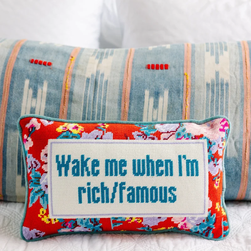 Velvet Pillows for a Touch of EleganceRich And Famous Needlepoint Pillow