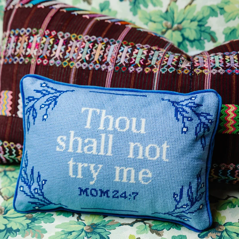 Decorative Pillows for Living Room MakeoverTry Me Needlepoint Pillow