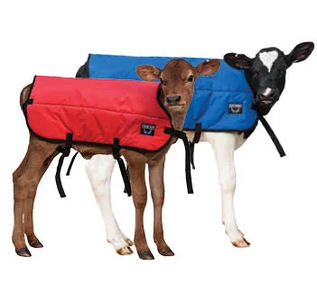 Silk blankets with a smooth and elegant touchCalf Blanket - Calf Jacket