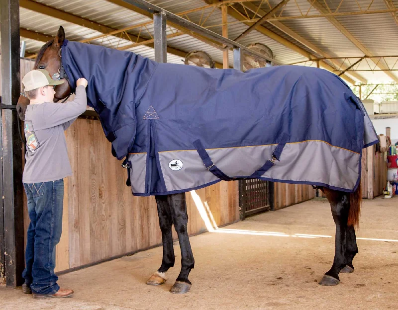 Bamboo fiber blankets with natural antibacterial propertiesJeffers Economy Plus Combo Neck Medium Weight Horse Turnout Blanket Bamboo fiber blankets with natural antibacterial propertiesJeffers Economy Plus Combo Neck Medium Weight Horse Turnout Blanket