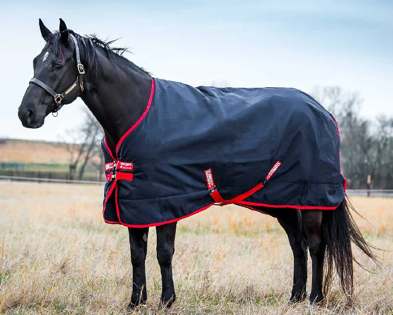 Silk blankets with a smooth and elegant touchRambo Original Medium Blanket w/ Bag for Life Silk blankets with a smooth and elegant touchRambo Original Medium Blanket w/ Bag for Life