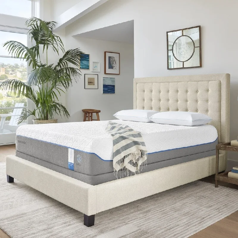 Polyester - foam mattresses for budget - friendly optionsTEMPUR-Cloud Supreme Breeze 11.5-inch Split California King-size Mattress Polyester - foam mattresses for budget - friendly optionsTEMPUR-Cloud Supreme Breeze 11.5-inch Split California King-size Mattress